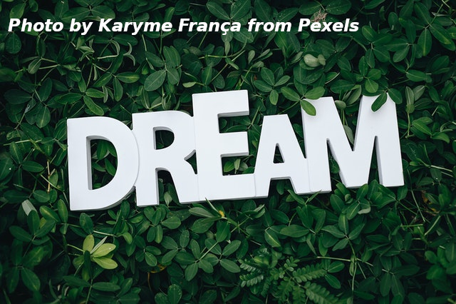 THE WORD DREAM OVER PLANT LEAVES