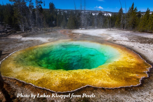 yellowstone park