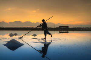 sea salt worker